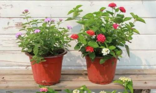 爆料永康医院事件视频最新,真相与争议再引热议 第3张 爆料永康医院事件视频最新,真相与争议再引热议 第3张