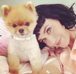 最新台湾狗崽爆料视频,揭秘事件背后惊人真相 第2张 最新台湾狗崽爆料视频,揭秘事件背后惊人真相 第2张