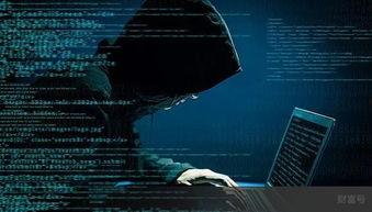 黑客爆料网红视频,黑客爆料惊人内幕 第1张 黑客爆料网红视频,黑客爆料惊人内幕 第1张