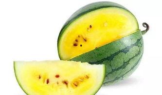 欢迎大家来瓜地免费吃,免费瓜地,等你来尝 第2张 欢迎大家来瓜地免费吃,免费瓜地,等你来尝 第2张